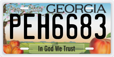 GA license plate PEH6683