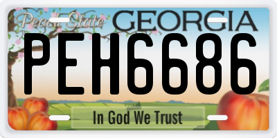 GA license plate PEH6686