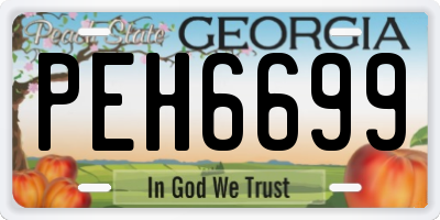 GA license plate PEH6699