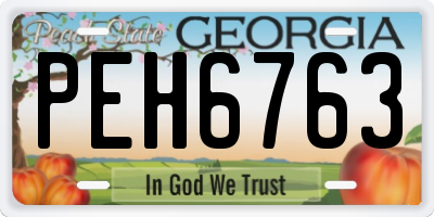 GA license plate PEH6763