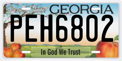GA license plate PEH6802