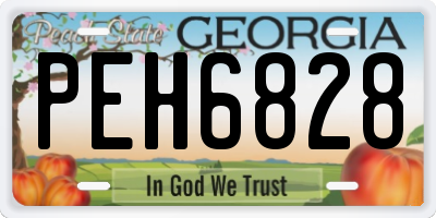 GA license plate PEH6828