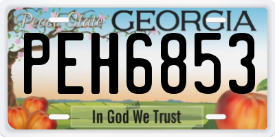 GA license plate PEH6853