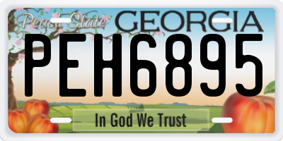 GA license plate PEH6895