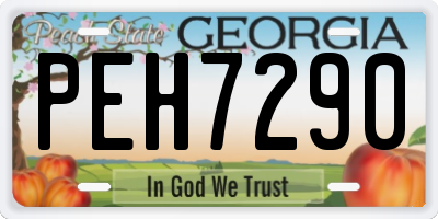 GA license plate PEH7290