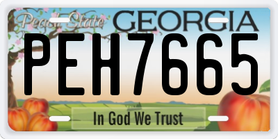 GA license plate PEH7665