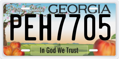 GA license plate PEH7705