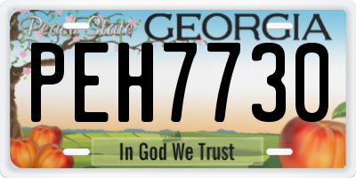 GA license plate PEH7730