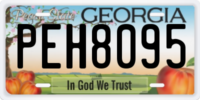 GA license plate PEH8095