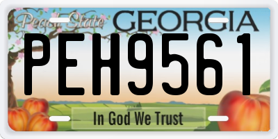 GA license plate PEH9561