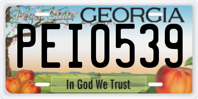 GA license plate PEI0539