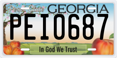 GA license plate PEI0687