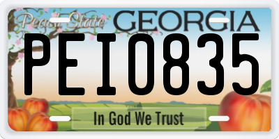 GA license plate PEI0835