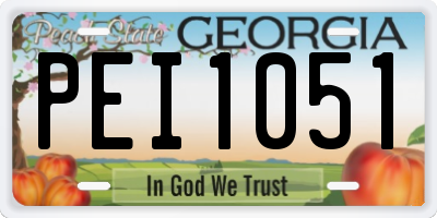 GA license plate PEI1051
