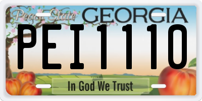 GA license plate PEI1110