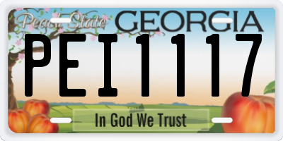 GA license plate PEI1117