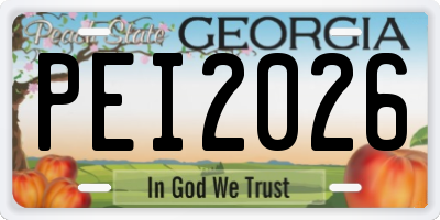GA license plate PEI2026
