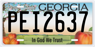GA license plate PEI2637