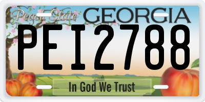 GA license plate PEI2788