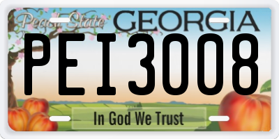 GA license plate PEI3008