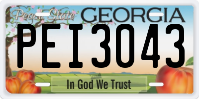 GA license plate PEI3043