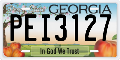 GA license plate PEI3127