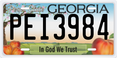 GA license plate PEI3984