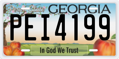 GA license plate PEI4199