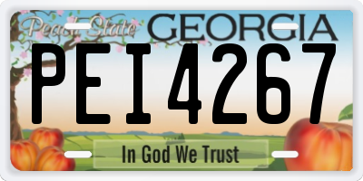 GA license plate PEI4267