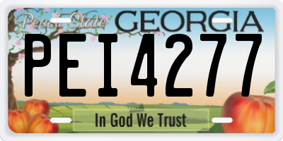 GA license plate PEI4277