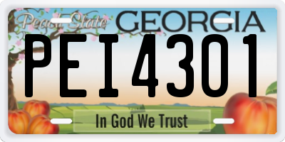 GA license plate PEI4301