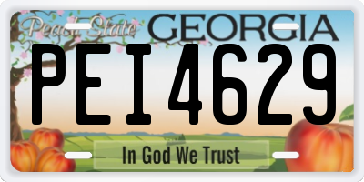 GA license plate PEI4629
