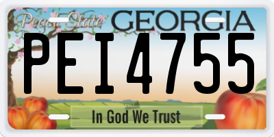 GA license plate PEI4755
