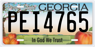 GA license plate PEI4765