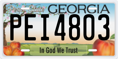 GA license plate PEI4803
