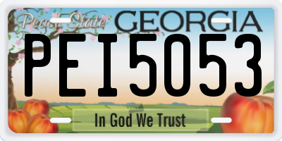 GA license plate PEI5053