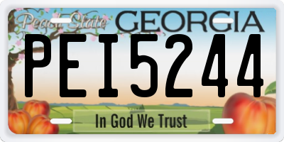 GA license plate PEI5244