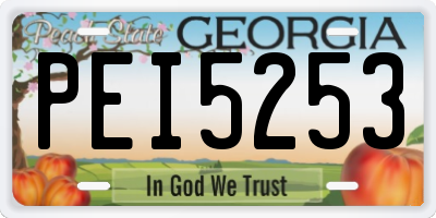 GA license plate PEI5253