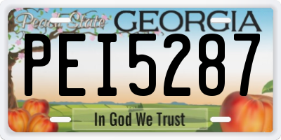 GA license plate PEI5287