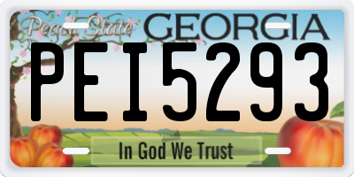GA license plate PEI5293