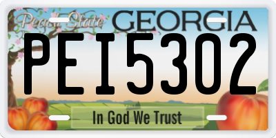 GA license plate PEI5302