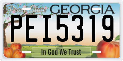 GA license plate PEI5319