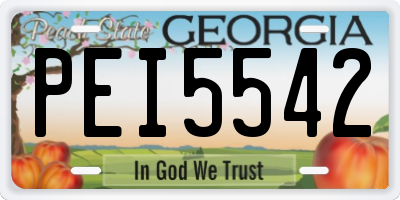 GA license plate PEI5542