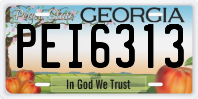 GA license plate PEI6313