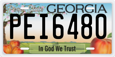 GA license plate PEI6480