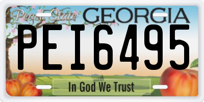 GA license plate PEI6495
