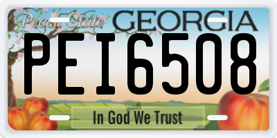 GA license plate PEI6508