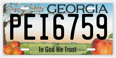 GA license plate PEI6759