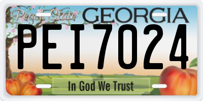 GA license plate PEI7024
