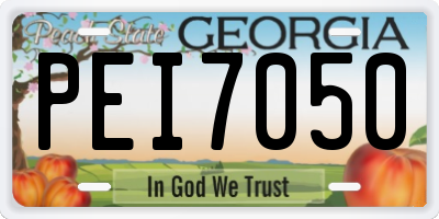 GA license plate PEI7050
